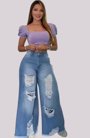 Teonclothingshop Women's High Waisted Straight Ripped Jeans