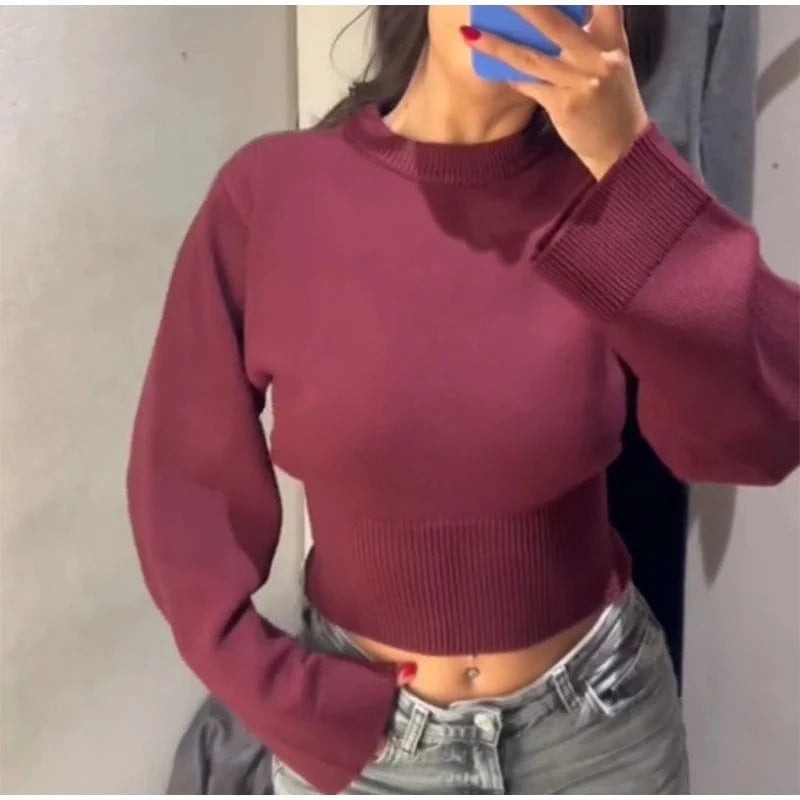 Teonclothingshop Cozy Ribbed Knit Cropped Sweater