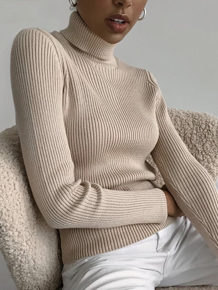 Teonclothingshop Women's autumn turtleneck sweater Knitted soft sweaters