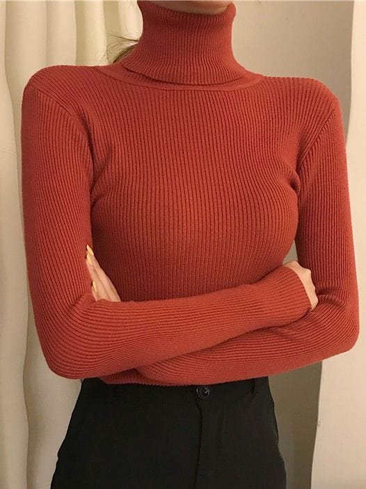 Teonclothingshop Women's autumn turtleneck sweater Knitted soft sweaters