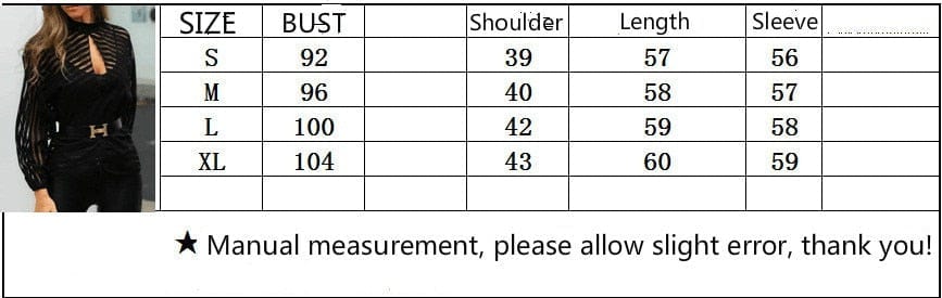 Teonclothingshop Women's mesh blouse Transparent women's shirt with long sleeves