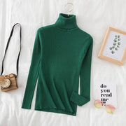 Teonclothingshop Women's pullover with a turtleneck Autumn Winter