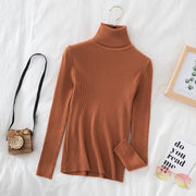 Teonclothingshop Women's pullover with a turtleneck Autumn Winter